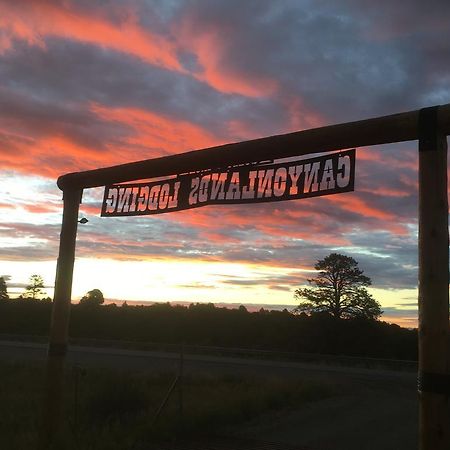 Bluebell Cabin, Glamour Cabin Camping, Stunning Night Sky Монтичело Екстериор снимка